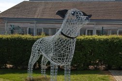Dogs Trust Basildon in Basildon