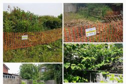 Inspectas Land Remediation LTD - Japanese Knotweed Removal Specialists in Newcastle upon Tyne