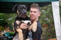 York DOG services Photo