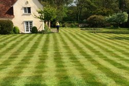 Treat Your Lawns Photo