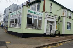 Medivet Leigh-on-Sea London Rd - Downes Veterinary Surgeons in Southend-on-Sea