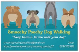 Smoochy Poochy Dog Walkiing Photo