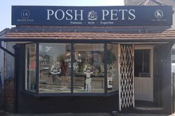Posh Pets Photo