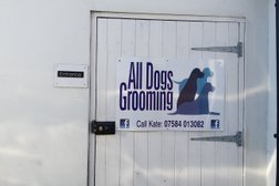 Alldogs Grooming Photo