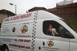 Dial A Dog Wash Photo