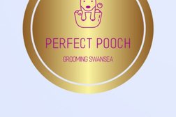 Perfect Pooch Grooming Swansea Photo