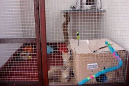 Kingstown Kennels and Cattery in Basildon