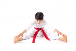 Ju Dachi Martial Arts Photo