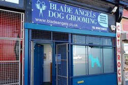Blade Angels Sharpening Services in Blackpool
