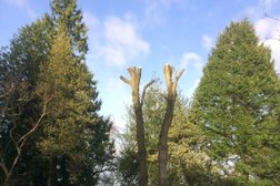 Arb-Aid Tree Care & Landscape Services in Coventry