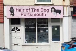 Hair of the dog Portsmouth Photo