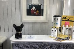 Alysons K9 Grooming professional dog groomers Swansea Photo