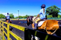Baylands Equestrian Centre in Luton