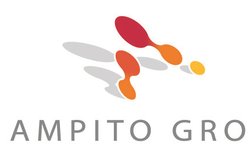 Ampito Group in Crawley