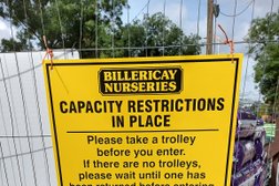 Billericay Nurseries in Basildon