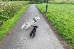 Fetch! Dog Walking & Pet Services in Stoke-on-Trent