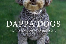 Dappa Dogs Grooming Parlour Photo