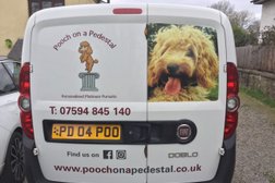Pooch on a Pedestal Award Winner Best New Pet Business South Wales 2020 in Newport