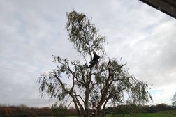 Warrington Tree Care Photo