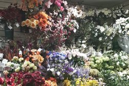 Flower City Florist Brighton Photo
