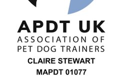 Animal Magic Pet Care & Dog Training in Gloucester