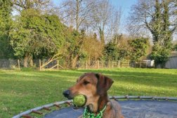 Crawley Secure Dog Walking Fields & Grooming Salon in Crawley