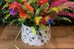 Oak & Lillies Florist Photo