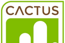 Cactus Living in Sheffield