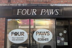 Four Paws Photo