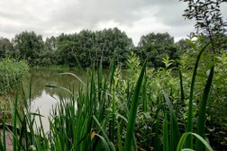The Brierley Pond Project Photo
