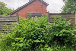Inspectas Land Remediation Ltd - PCA Accredited Japanese Knotweed Removal in Southampton