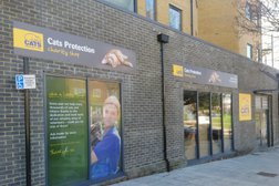Cats Protection - Weston Lane charity shop in Southampton
