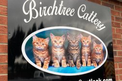 Birchtree Cattery in Newcastle upon Tyne