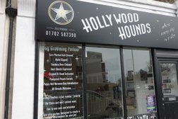 Hollywood Hounds in Southend-on-Sea