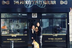 Parkers Pets, Southsea - Doggy Creche & Groomers in Portsmouth