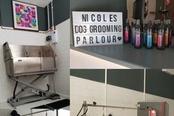 Nicoles dog grooming parlour in Basildon