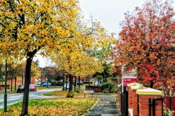 Lingfield Choosing Pathways in Middlesbrough