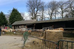 Graves Park Animal Farm in Sheffield