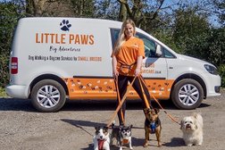 Little Paws day Care in Brighton