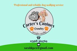 Carters canines crawley in Crawley