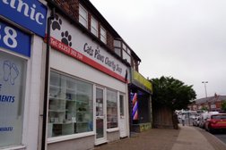 Cats Paws Charity Shop in Blackpool