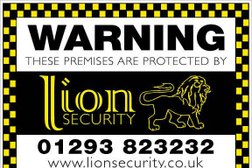 Lion Security Photo