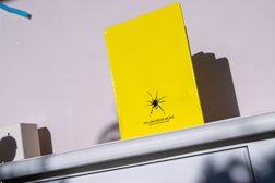 Yellow Spider Media Ltd Photo