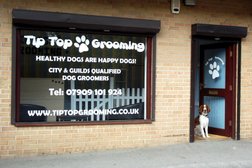 Tip Top Dog Grooming in Swindon