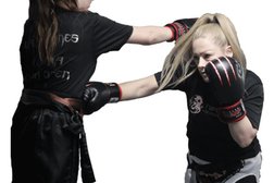Two Dragons Martial Arts Academy Photo