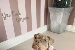 Pretty Pawfect Dog grooming and Spa Photo