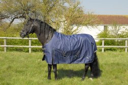 Dreamchaser Equestrian Photo