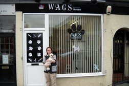 WAGS Dog Grooming - Stoke on Trent Photo