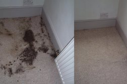 Roffey Carpet Cleaning Southend Photo