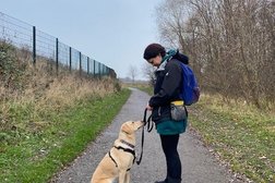 Theo & Friends Solo Dog Walk Specialist and Cat Care Photo